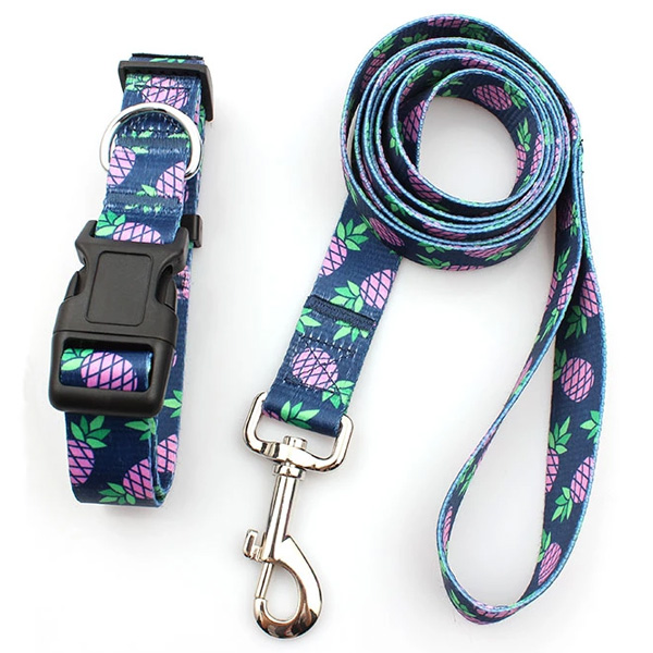 Sublimation pet collar and leash for dog