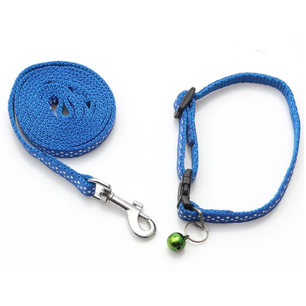 Silk screen print pet dog collar and leash
